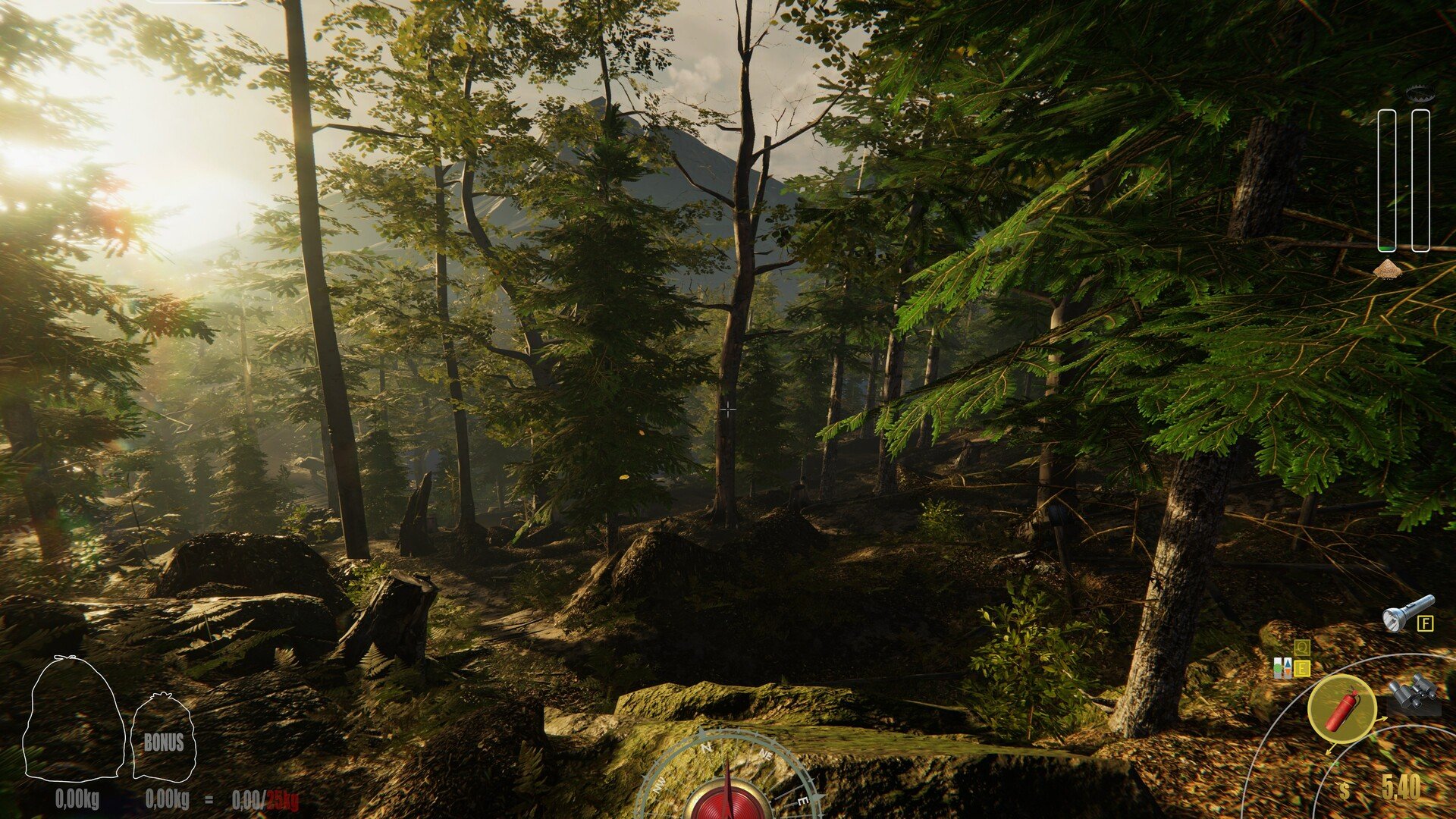 饥荒 重制版 截图21